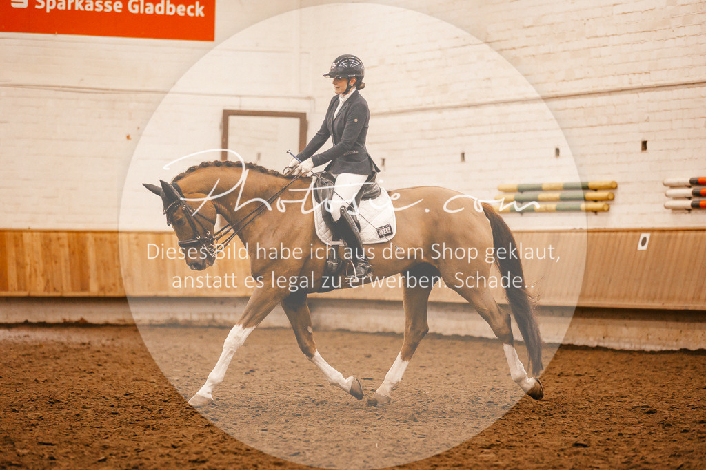 3I6A2518 | Stimmungsvolle Portraits und Reitsportfotografie im Ruhrgebiet und im Münsterland.

Pferdefotografie, Hundefotografie, Tierfotografie, Reportagen, Portraits von Tier und Mensch, Turnierfotografie in Bochum, Recklinghausen, Marl, Haltern am See, Dülmen.. - Realisiert mit Pictrs.com
