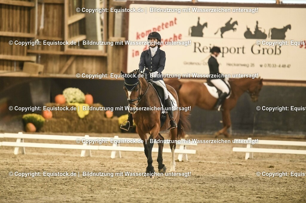 02_Dressurreiter_A_0324 | Foto: Thomas Hartig