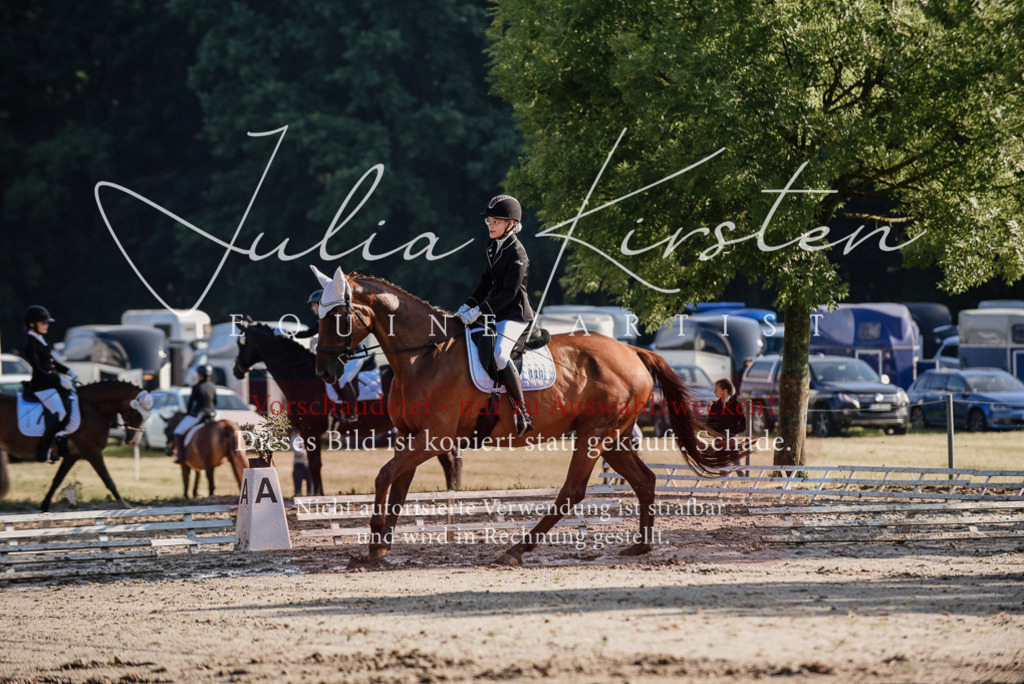 DSC_7732 | Pferde- und Turnierfotografie in Westsachsen. Pferdeportraits, Auftragszeichnungen und intuitive Kunst.