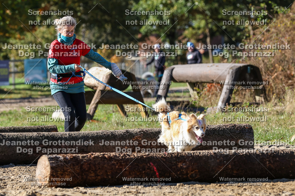 Dog Paparazzi - Strongdog 10-25-2524 | Dog Paparazzi Jeanette Grottendiek Fotografie & Videografie - Realisiert mit Pictrs.com