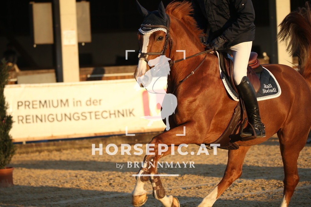 DL2Q0338 | Willkommen bei Brunnmayr - Design & Fotografie – Ihrem Spezialisten für Reitturniere und Pferdeveranstaltungen in Oberösterreich, Salzburg und Bayern! Seit über 17 Jahren sind wir leidenschaftlich dabei.