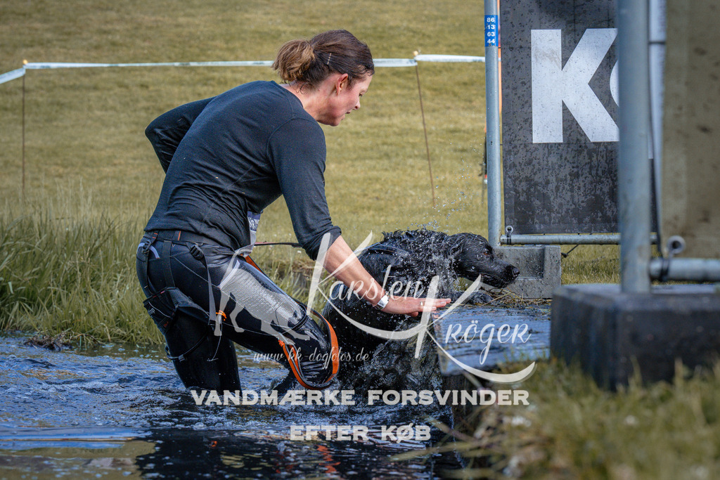 _ZZ968470738 | kk-dogfotos