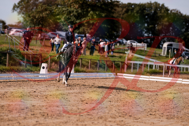 2026_10_03_Siefer-Hof_121554_Z81_17753916 | Professionelle Reitsport-, Turnier- und Eventfotografie von Robert Broda. Galerien mit ausgewählten und bearbeiteten Bildern direkt online ansehen und bestellen.