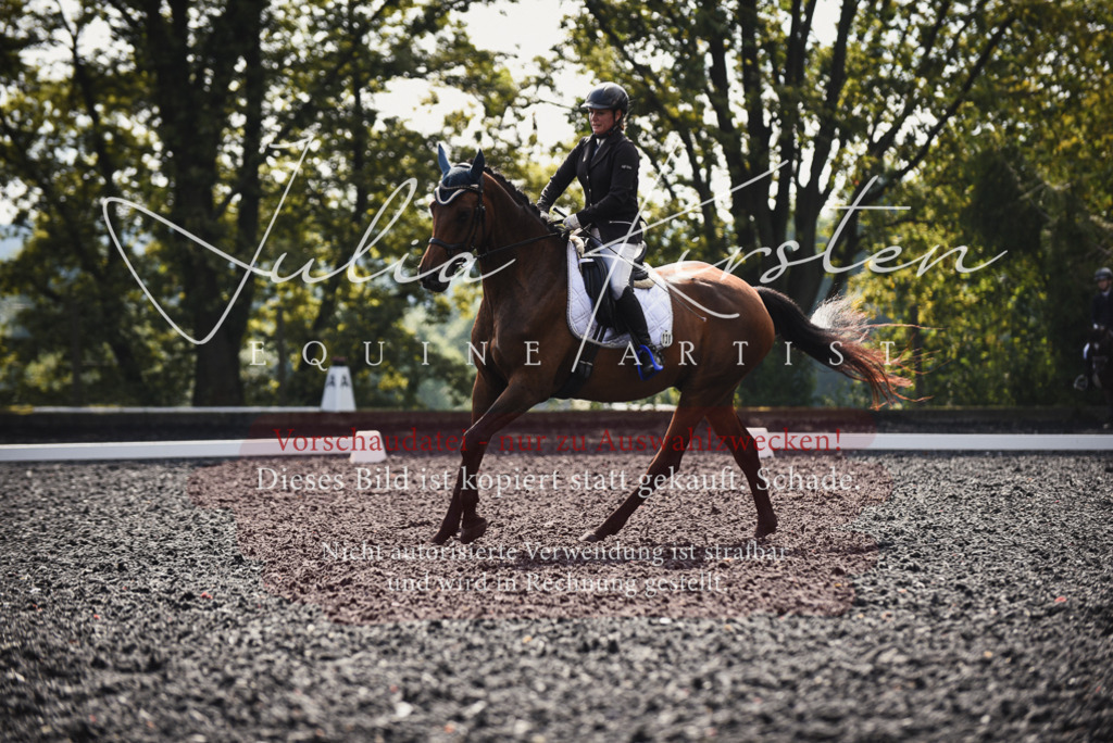 DSC_3672 | Pferde- und Turnierfotografie in Westsachsen. Pferdeportraits, Auftragszeichnungen und intuitive Kunst.