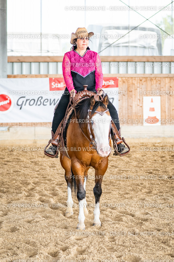 DSC08353 | Pferdegrafie