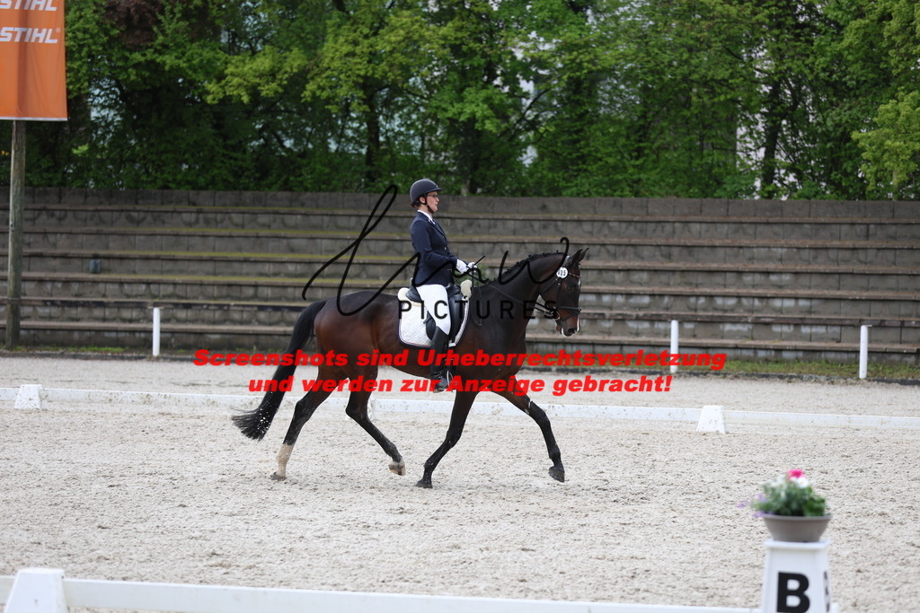 A40A9105 | lmwpictures - Realisiert mit Pictrs.com