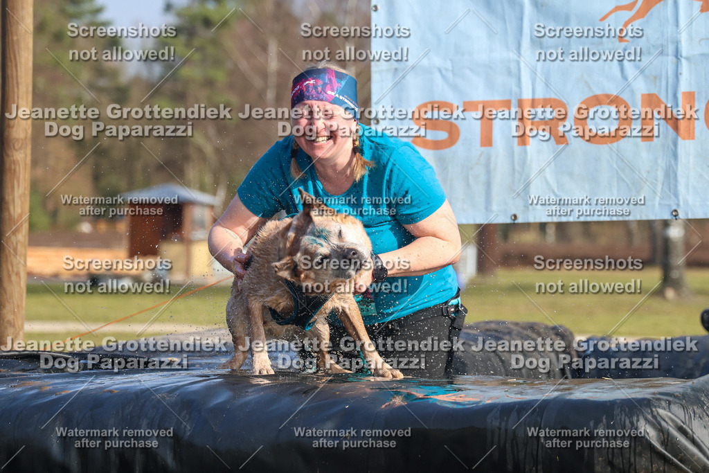 Dog Paparazzi - Strongdog North Mrz26-2850 | Dog Paparazzi Jeanette Grottendiek Fotografie & Videografie - Realisiert mit Pictrs.com