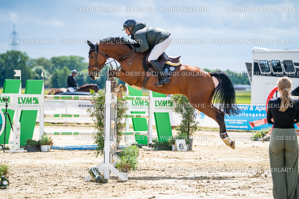 DSC05240 | Pferdegrafie