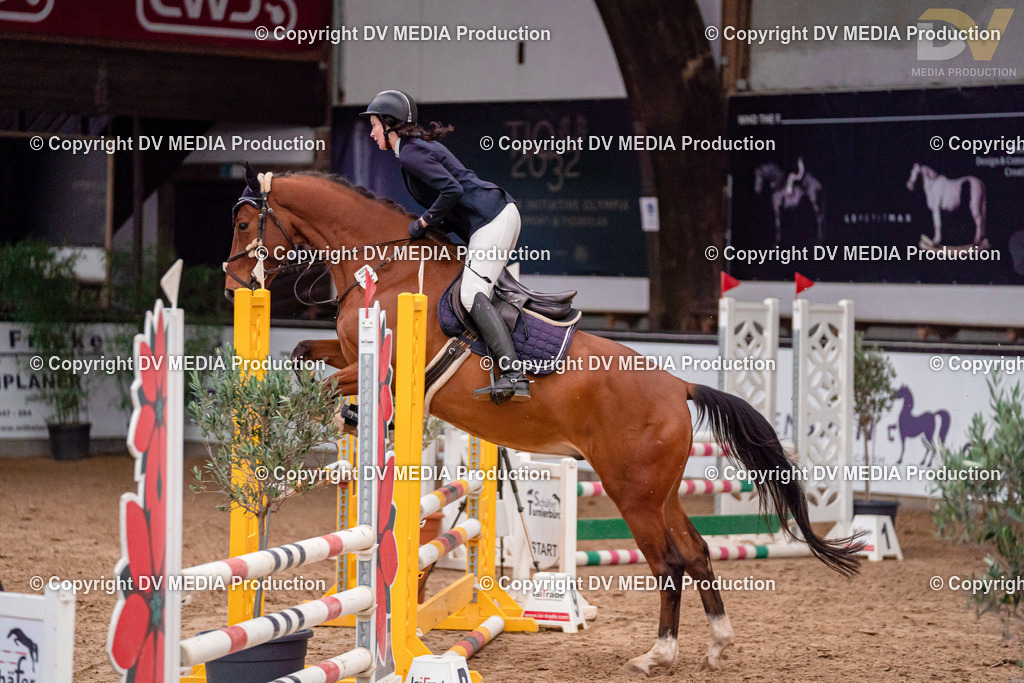 Kranichstein II Tag 1-137 | dv-media-shop - Realisiert mit Pictrs.com