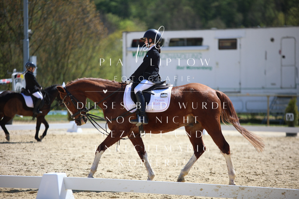 IMGT0564 | pl-fotografie