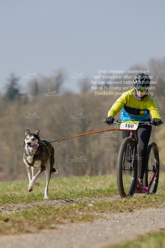 Scooter_Lang-123 | stephaniefillaphotographie - Realisiert mit Pictrs.com