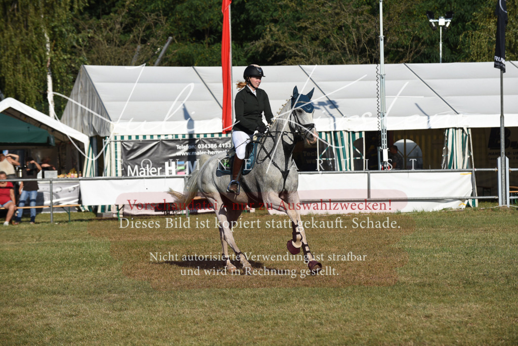 DSC_5204 | Pferde- und Turnierfotografie in Westsachsen. Pferdeportraits, Auftragszeichnungen und intuitive Kunst.