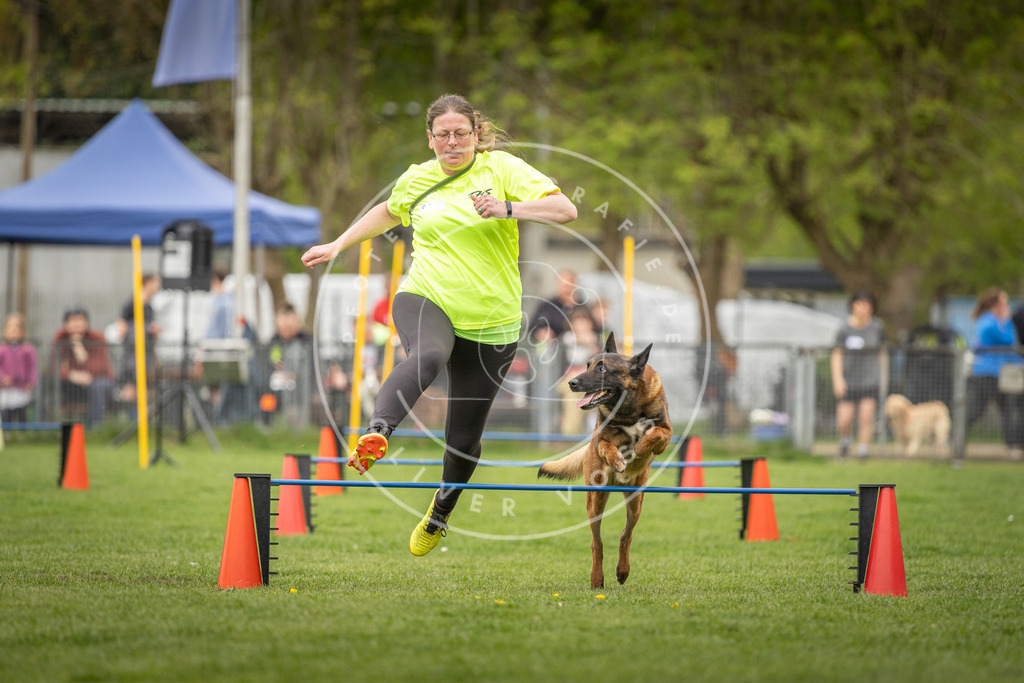 Pfotenfotografie_DV3A0534 | Hundefotografie, Tierfotograf, Pfotenfotografie, Fotoshooting Hund, Hunde Portrait, Hundesport, Hundeportraits, Heideshooting, Hunde, Sportfotograf, Hundefotograf, Turnierhundsport, THS,  - Realisiert mit Pictrs.com