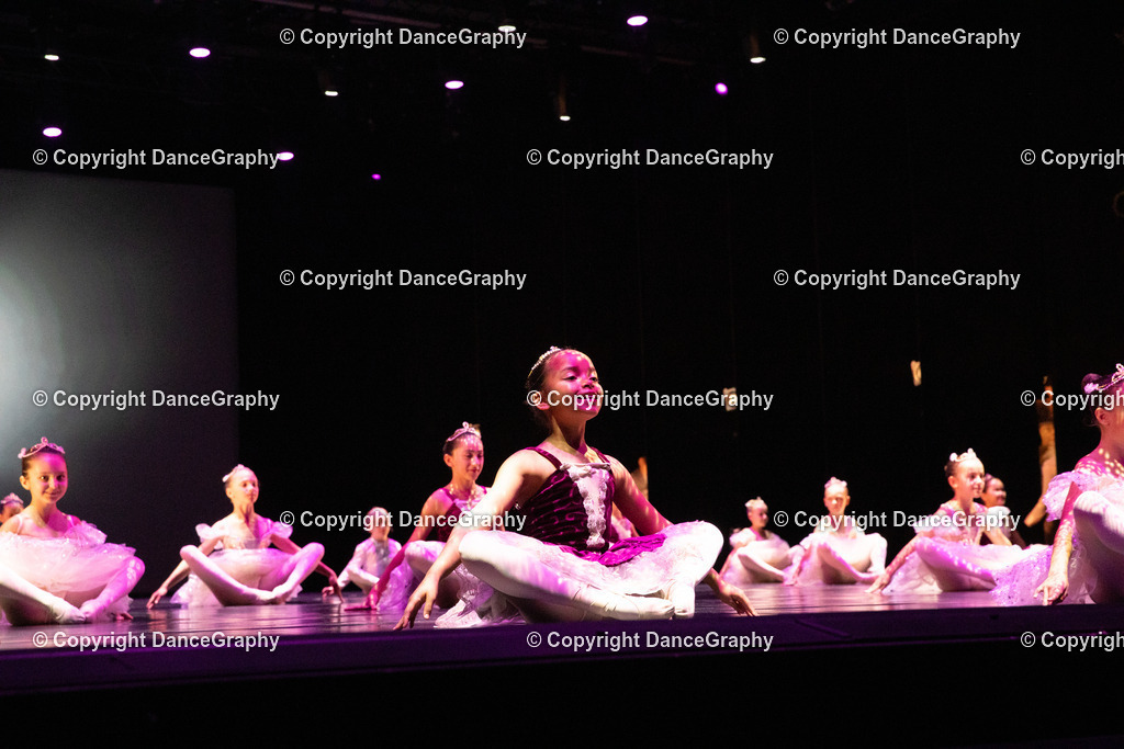 GPHY4431 | DanceGraphy - Realisiert mit Pictrs.com