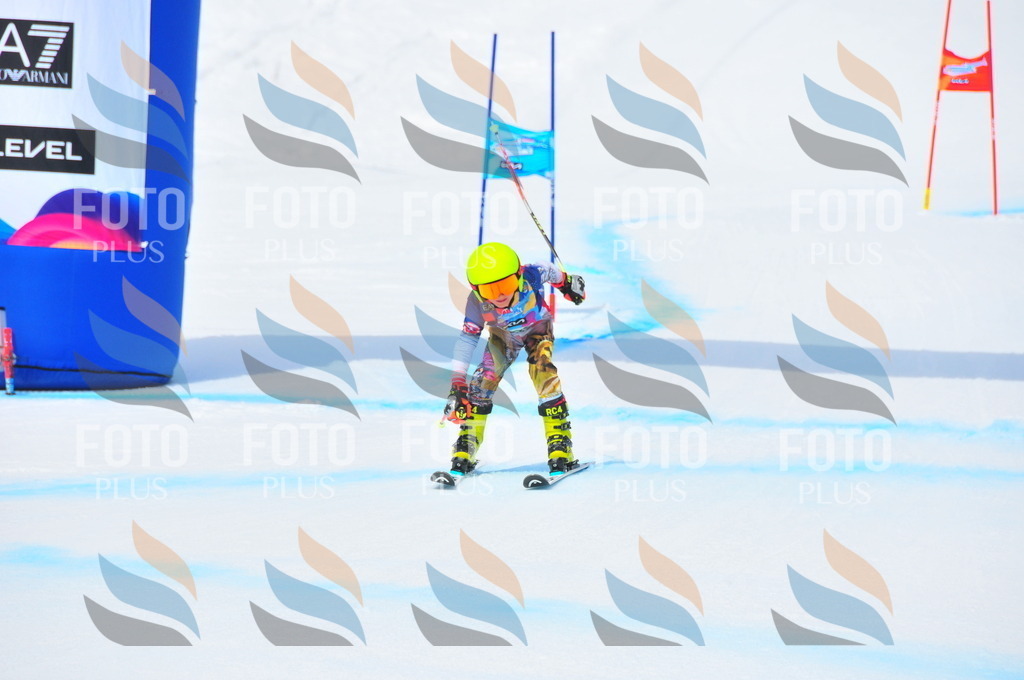 DSC_2694 | holidayphoto