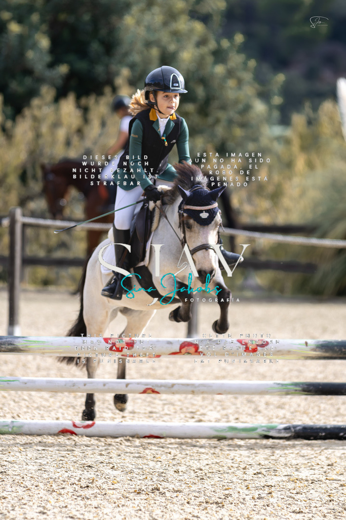 IMG_5254-Verbessert-RR | s-jay-photography - Realisiert mit Pictrs.com