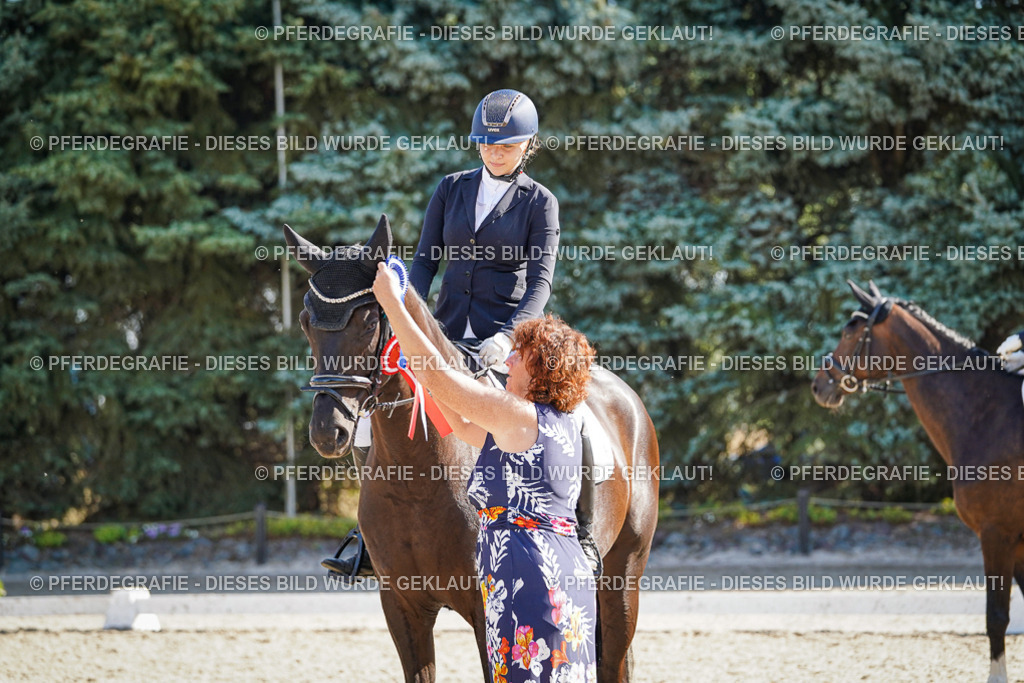 DSC00120 | Pferdegrafie