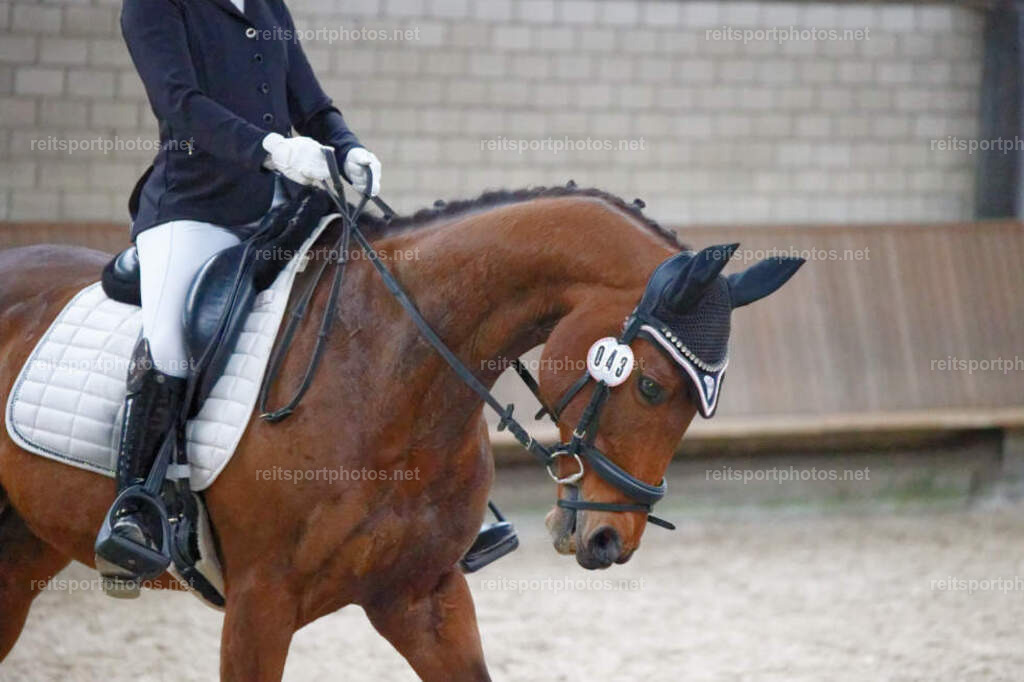 JHE_7715 | JoYa Fotografie - Realisiert mit Pictrs.com