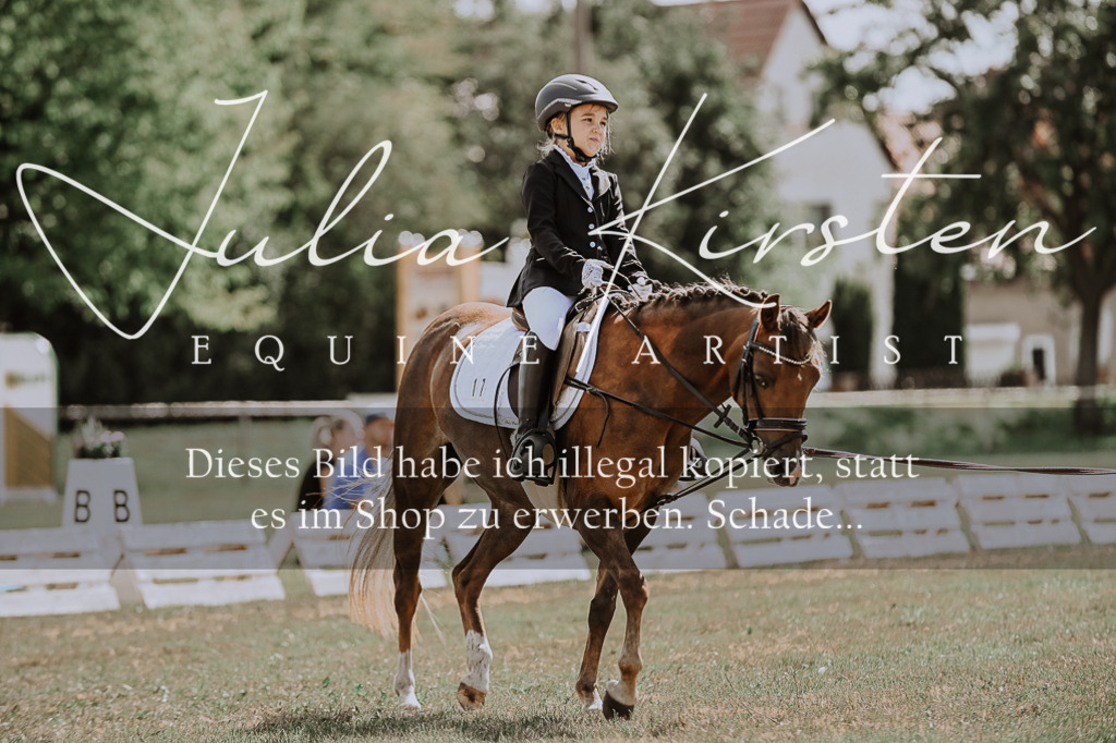 DSC_7608 | Pferde- und Turnierfotografie in Westsachsen. Pferdeportraits, Auftragszeichnungen und intuitive Kunst.