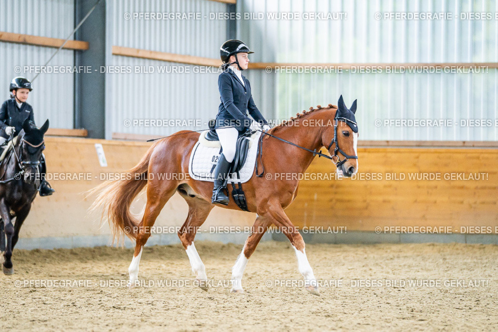 DSC04729 | Pferdegrafie