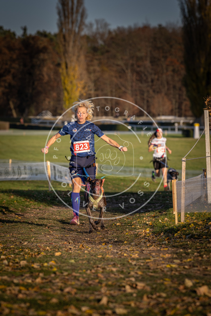 CaniXpix_DV3A3288 | Hundefotografie, Tierfotograf, Pfotenfotografie, Fotoshooting Hund, Hunde Portrait, Hundesport, Hundeportraits, Heideshooting, Hunde, Sportfotograf, Hundefotograf, Turnierhundsport, THS,  - Realisiert mit Pictrs.com