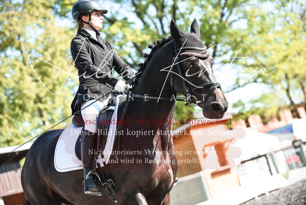 DSC_8342 | Pferde- und Turnierfotografie in Westsachsen. Pferdeportraits, Auftragszeichnungen und intuitive Kunst.
