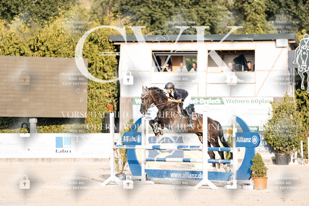 CK900803 | Turnierfotografie Pferdefotografie Trier Rheinland-Pfalz Pferdesport Reitsport Tierfotografie Sportfotografie Pferdevideo Pferdevideografie Equestrianvideography equestrianphotography  - Realisiert mit Pictrs.com