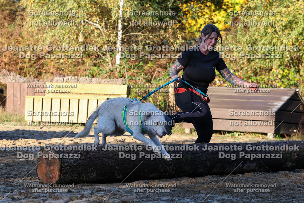 Dog Paparazzi - Strongdog 10-25-832 | Dog Paparazzi Jeanette Grottendiek Fotografie & Videografie - Realisiert mit Pictrs.com