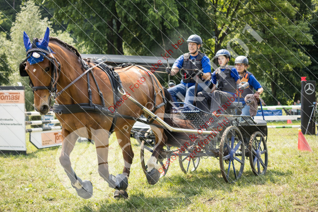 IMG_8636 | Sport-, Event- und Tierfotos in Profiqualität. Einfach auswählen, bestellen und herunterladen. Dein Moment – perfekt festgehalten.