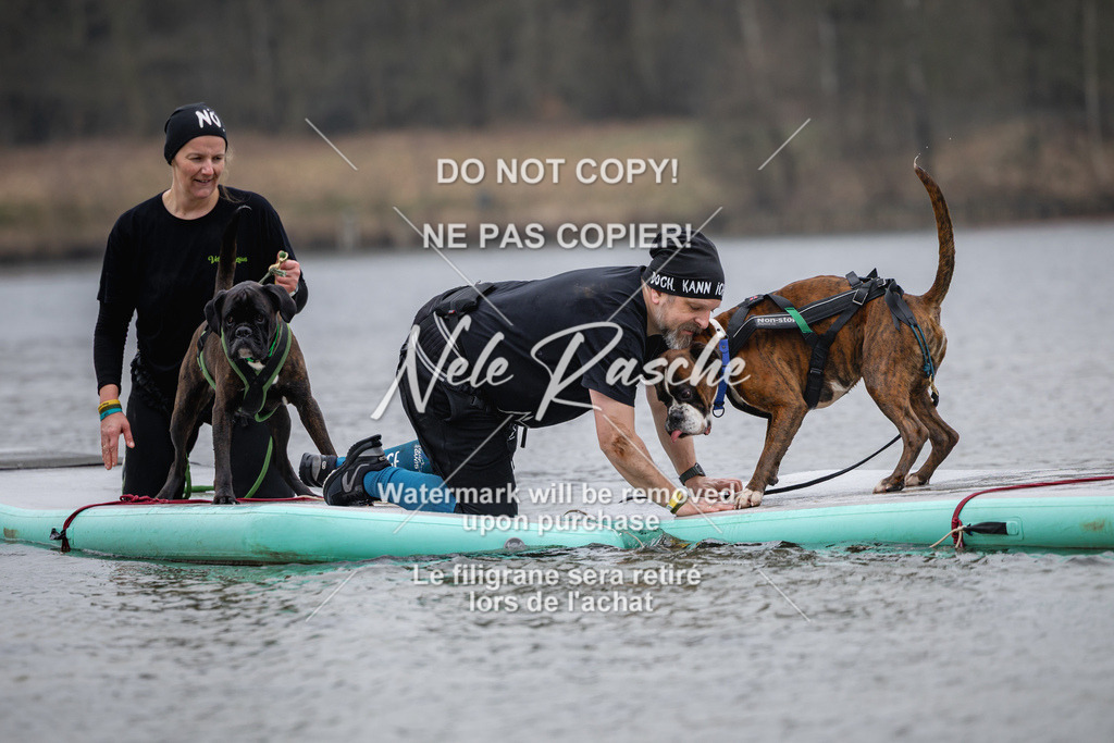 nelerasche_Hulsbeek_Sa1515-1600_148 | nelerasche