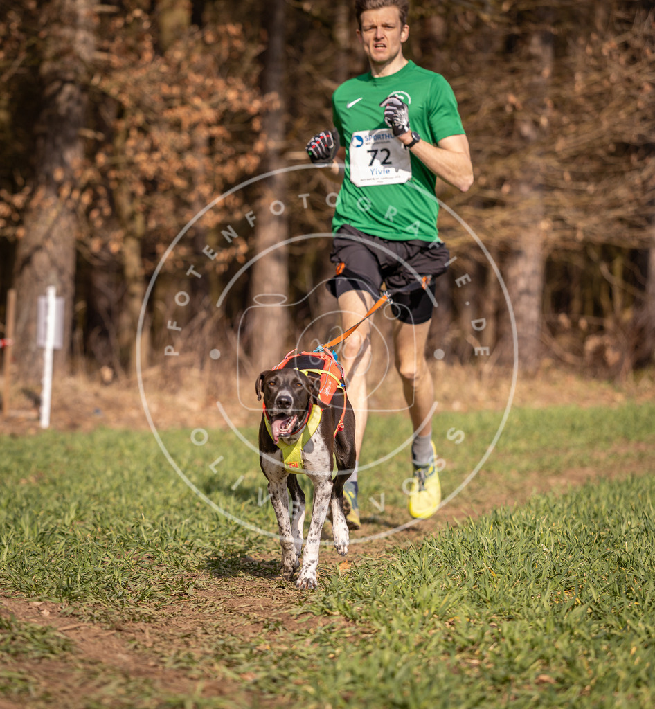 DV3A6210 | Hundefotografie, Tierfotograf, Pfotenfotografie, Fotoshooting Hund, Hunde Portrait, Hundesport, Hundeportraits, Heideshooting, Hunde, Sportfotograf, Hundefotograf, Turnierhundsport, THS,  - Realisiert mit Pictrs.com