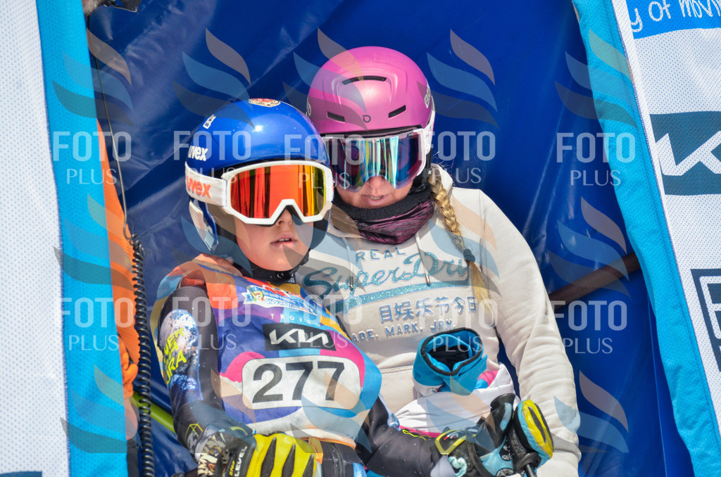 _ELE7885 | holidayphoto