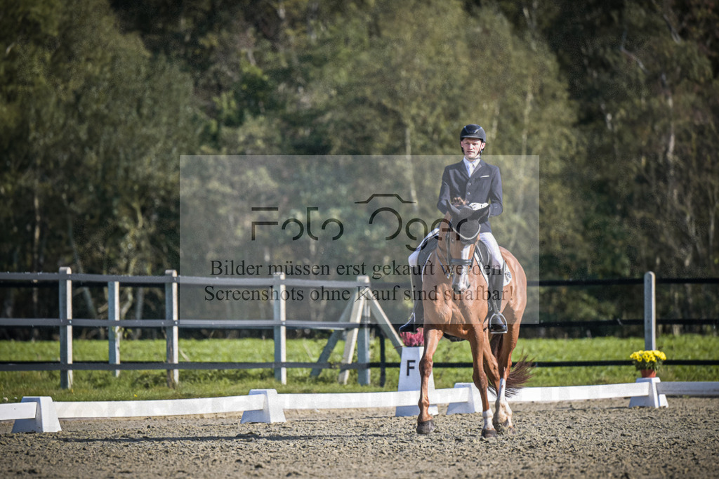 DOS_3460 | Entdecke hochwertige Reitturnierfotos von Foto Oger. Professionell, emotional und authentisch – jetzt Lieblingsmomente im Shop bestellen.Deutschlandweite Turnierfotografie. - Realisiert mit Pictrs.com
