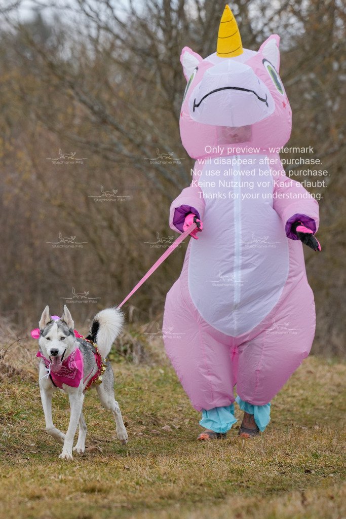 Fasching-22 | stephaniefillaphotographie - Realisiert mit Pictrs.com