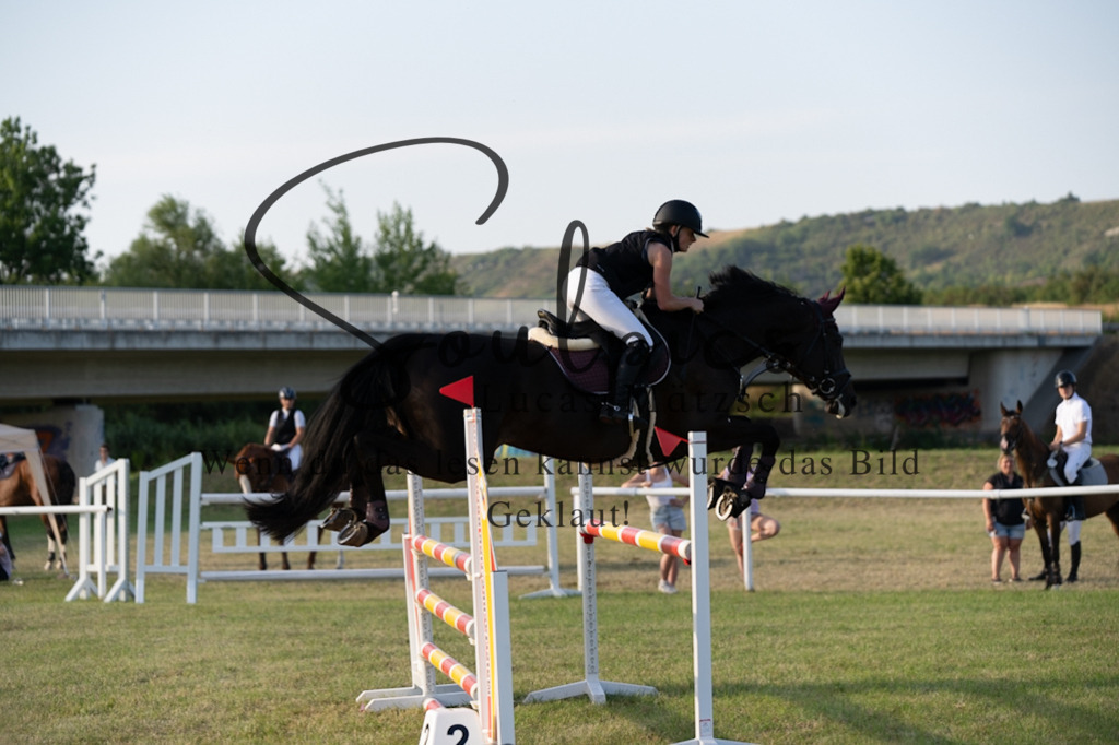 A7V01038 | Pferdefotograf