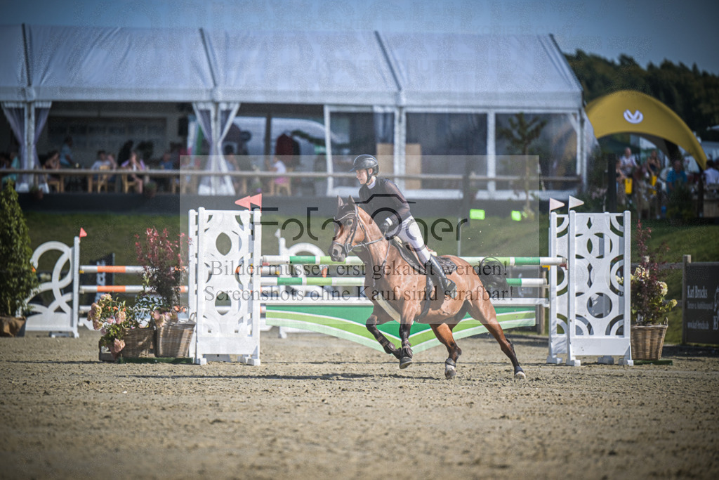 DOS_0235 | Entdecke hochwertige Reitturnierfotos von Foto Oger. Professionell, emotional und authentisch – jetzt Lieblingsmomente im Shop bestellen.Deutschlandweite Turnierfotografie. - Realisiert mit Pictrs.com