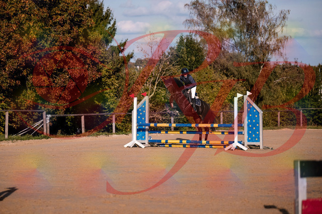 2026_10_03_Siefer-Hof_171546_Z81_13258464 | Professionelle Reitsport-, Turnier- und Eventfotografie von Robert Broda. Galerien mit ausgewählten und bearbeiteten Bildern direkt online ansehen und bestellen.