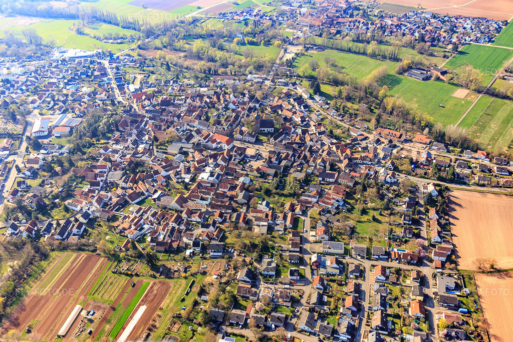 Luftbild: Ortsansicht von Norden im Ortsteil Billigheim in Billigheim-Ingenheim im Bundesland Rheinland-Pfalz in Deutschland. Foto: IMG_113305.jpg vom 30.03.2019 durch Werner Riehm/FLY-FOTO.de