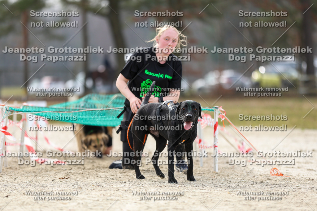 Dog Paparazzi - Strongdog North Mrz26-5774 | Dog Paparazzi Jeanette Grottendiek Fotografie & Videografie - Realisiert mit Pictrs.com
