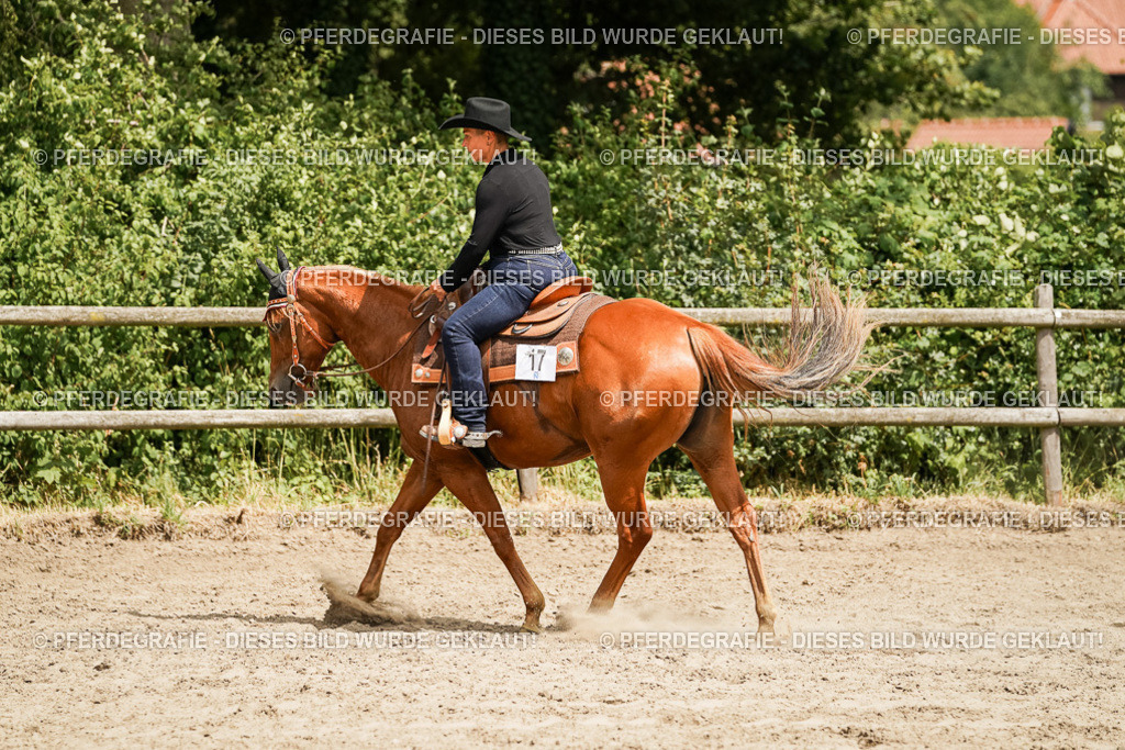 DSC00551 | Pferdegrafie