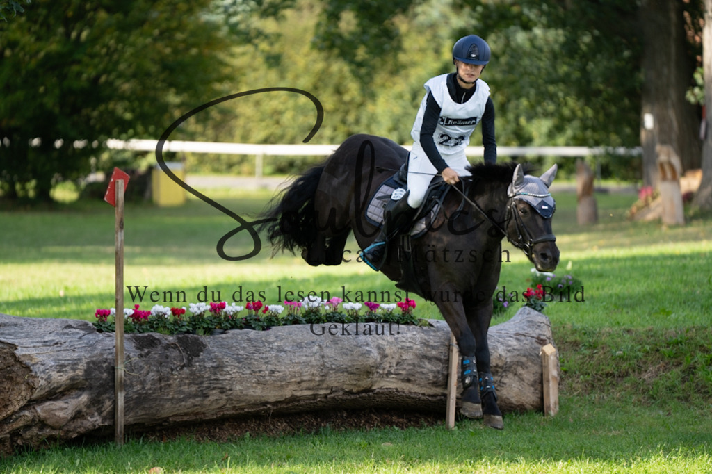 A7V03083 | Turnier/Reitfotograf
