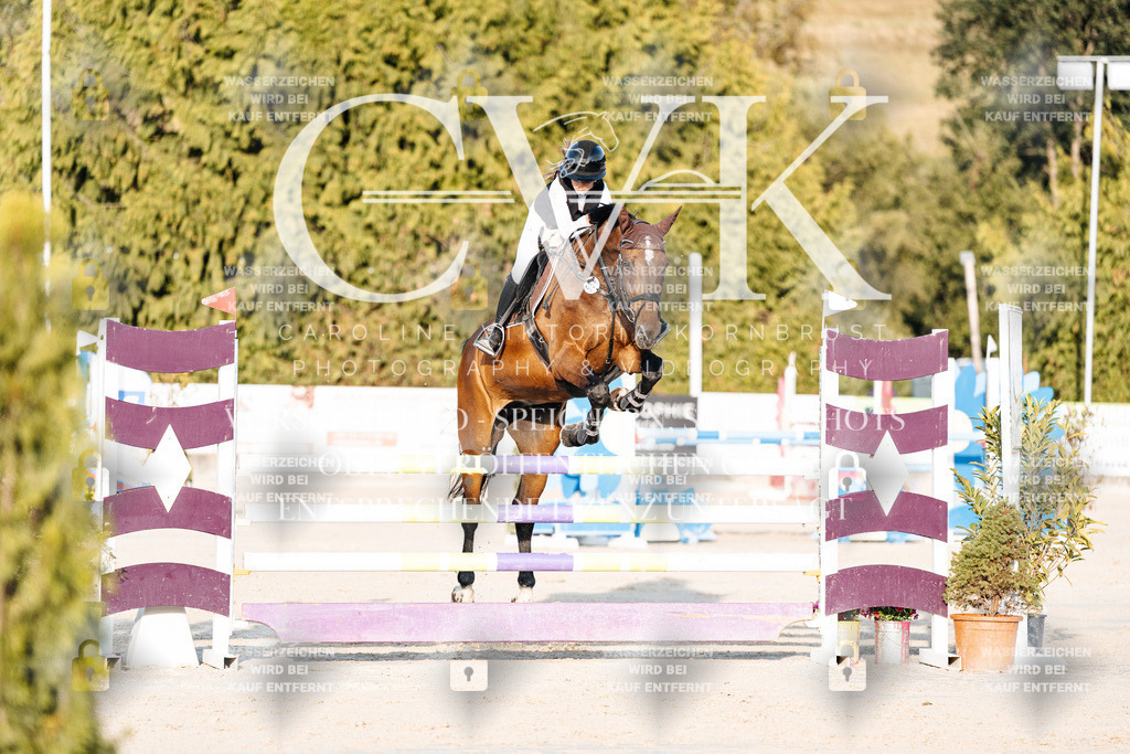 CK900718 | Turnierfotografie Pferdefotografie Trier Rheinland-Pfalz Pferdesport Reitsport Tierfotografie Sportfotografie Pferdevideo Pferdevideografie Equestrianvideography equestrianphotography  - Realisiert mit Pictrs.com