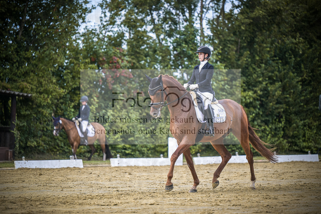 DOS_9209 | Entdecke hochwertige Reitturnierfotos von Foto Oger. Professionell, emotional und authentisch – jetzt Lieblingsmomente im Shop bestellen.Deutschlandweite Turnierfotografie. - Realisiert mit Pictrs.com