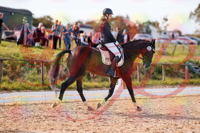 2026_10_03_Siefer-Hof_132531_Z81_76359776 | Professionelle Reitsport-, Turnier- und Eventfotografie von Robert Broda. Galerien mit ausgewählten und bearbeiteten Bildern direkt online ansehen und bestellen.