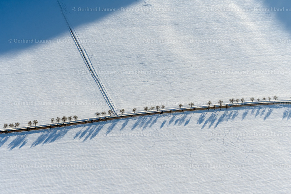 4045020 | TILLEDA (KYFFHäUSER) 14.02.2021 Winterlich schneebedeckte Baum mit Schattenbildung durch Lichteinstrahlung auf einem Feld in Tilleda (Kyffhäuser) im Bundesland Sachsen-Anhalt, Deutschland. // Wintry snowy tree with shadow forming by light irradiation on a field in Tilleda (Kyffhaeuser) in the state Saxony-Anhalt, Germany. Foto: Gerhard Launer