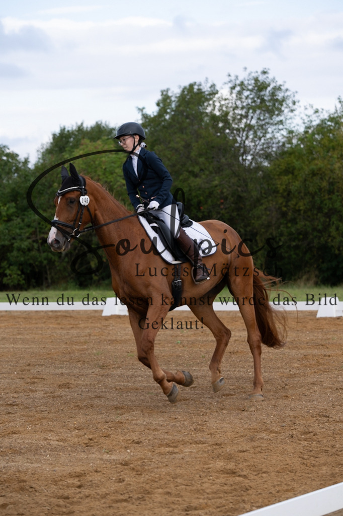A7V03785 | Turnier/Reitfotograf
