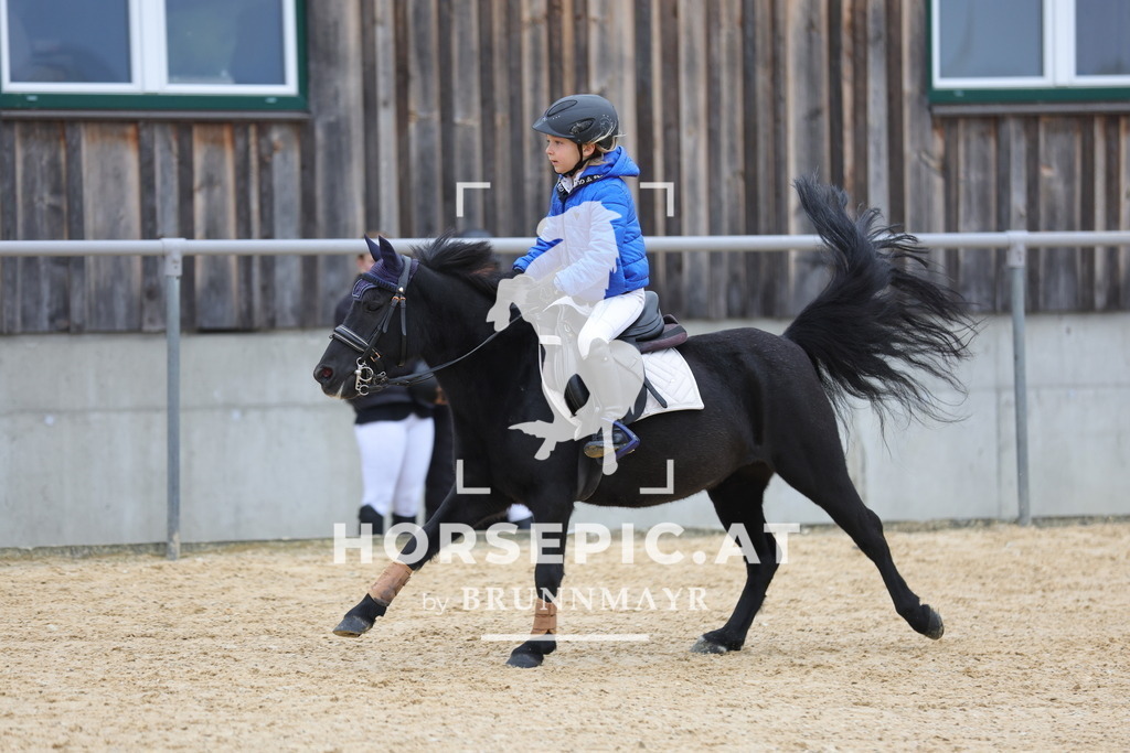 0P6A2959 | Willkommen bei Brunnmayr - Design & Fotografie – Ihrem Spezialisten für Reitturniere und Pferdeveranstaltungen in Oberösterreich, Salzburg und Bayern! Seit über 17 Jahren sind wir leidenschaftlich dabei.