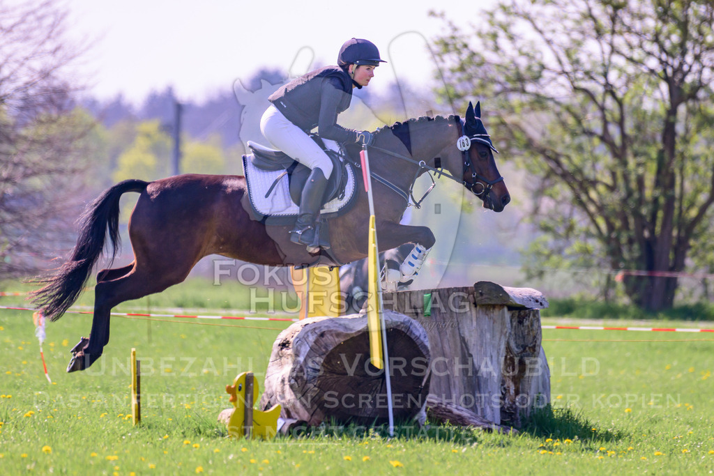 18042026-Gernlinden-03-0505 | Fokus Hufschlag Fotografie - Realisiert mit Pictrs.com