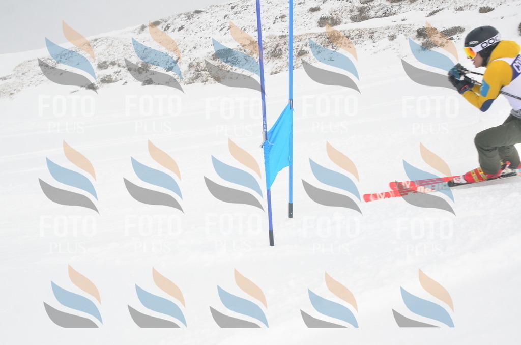 A6114 | holidayphoto