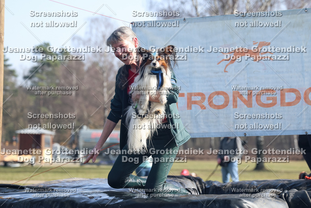 Dog Paparazzi - Strongdog North Mrz26-1486 | Dog Paparazzi Jeanette Grottendiek Fotografie & Videografie - Realisiert mit Pictrs.com
